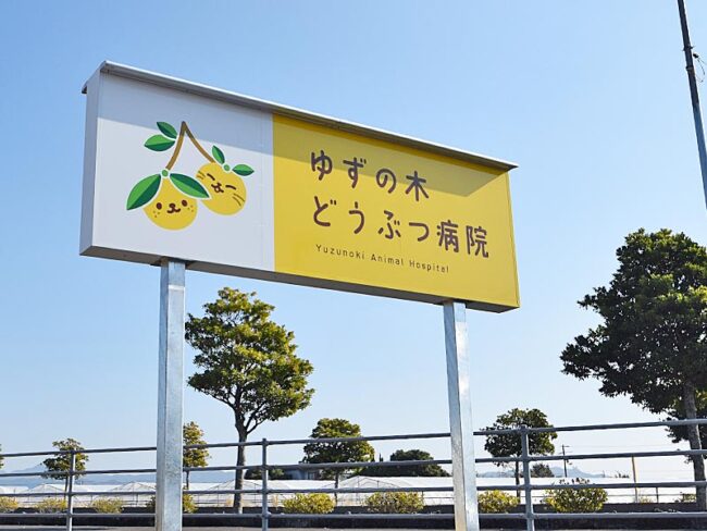 ゆずの木どうぶつ病院