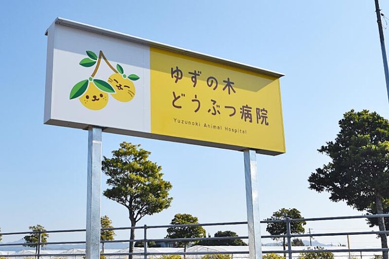 ゆずの木どうぶつ病院