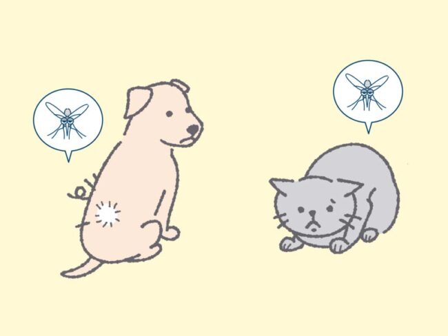 予防医療イラスト