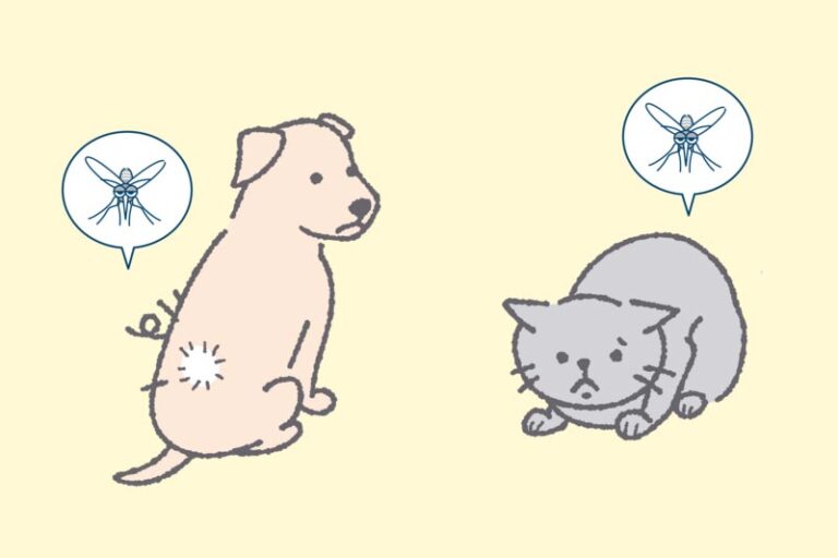 予防医療イラスト