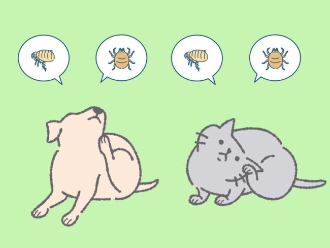 予防医療イラスト