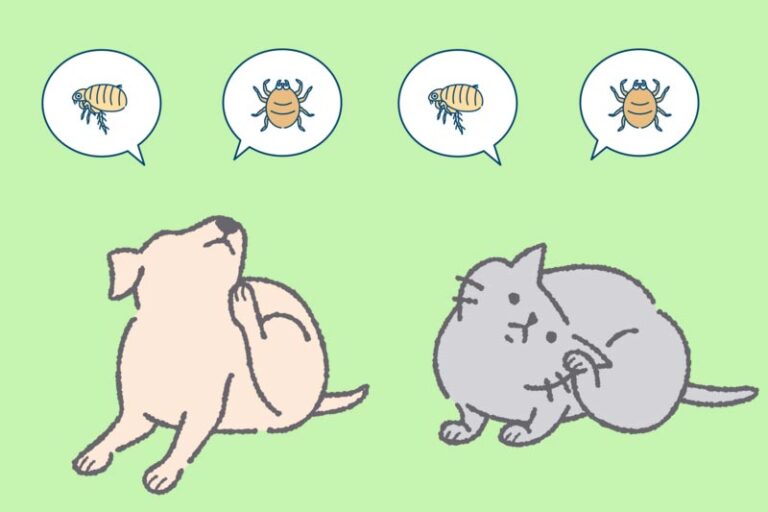 予防医療イラスト