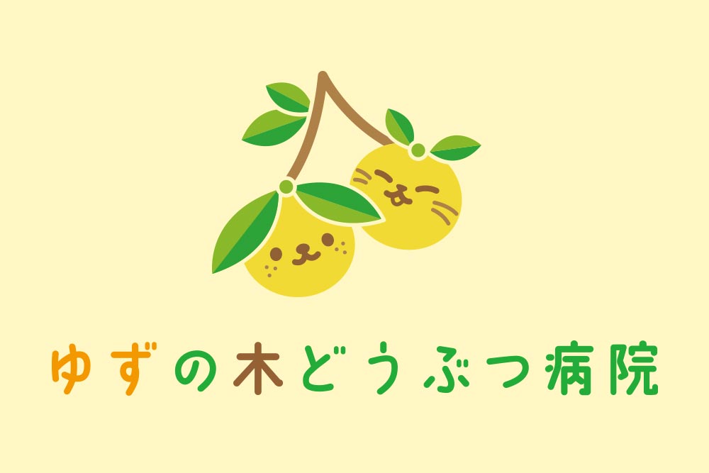 yuzu-blog-01 ゆずの木どうぶつ病院のブログ