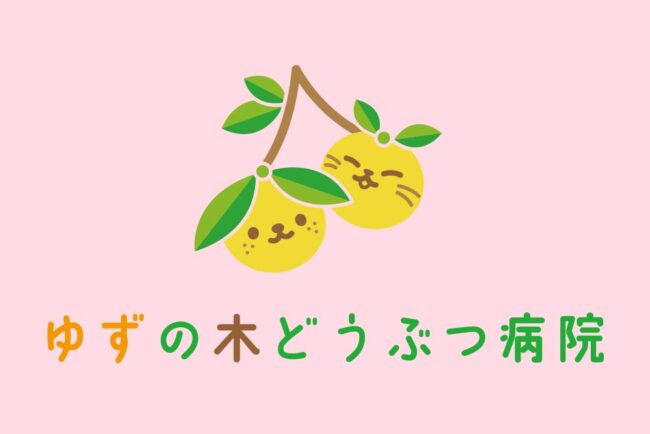 ゆずの木どうぶつ病院のブログ