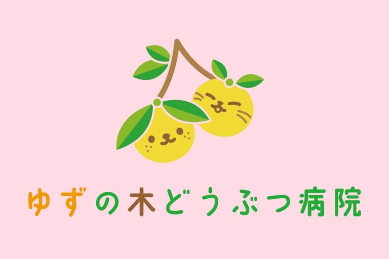 ゆずの木どうぶつ病院のブログ