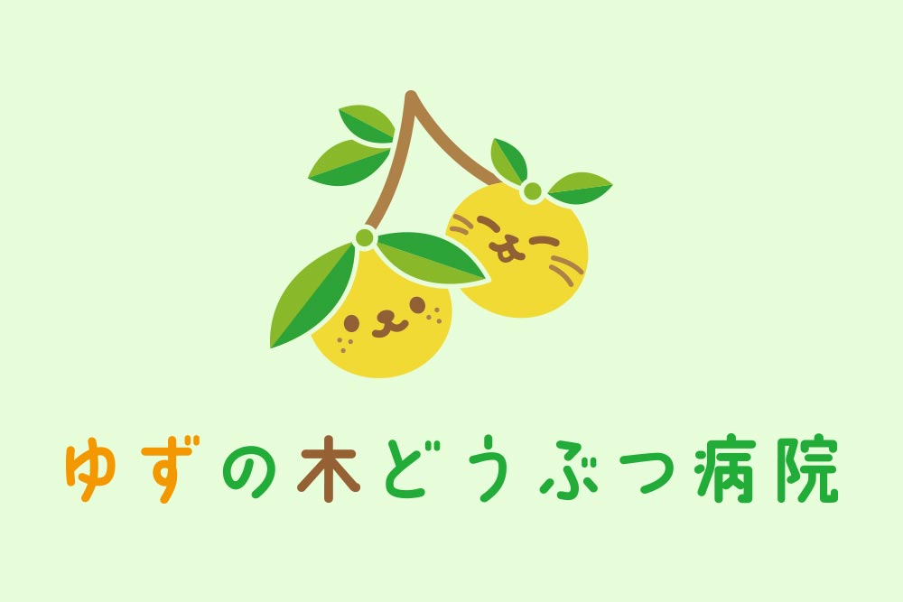 yuzu-blog-04 ゆずの木どうぶつ病院のブログ