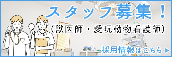 スタッフ募集
